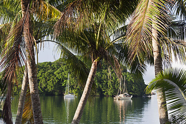 Sailing Boats anchor near Island