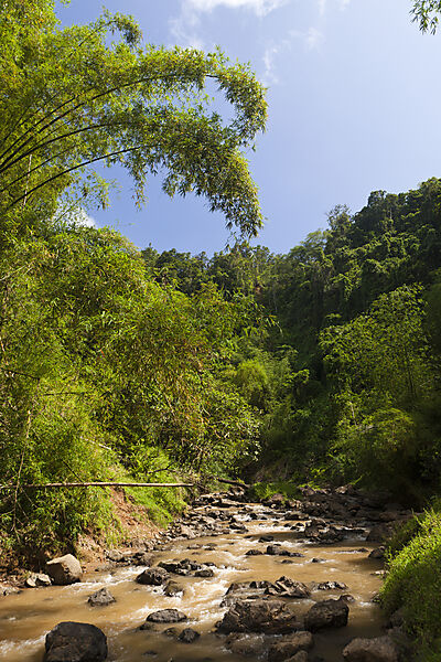 Impressions of Navua River
