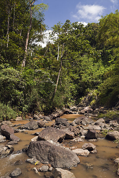 Impressions of Navua River