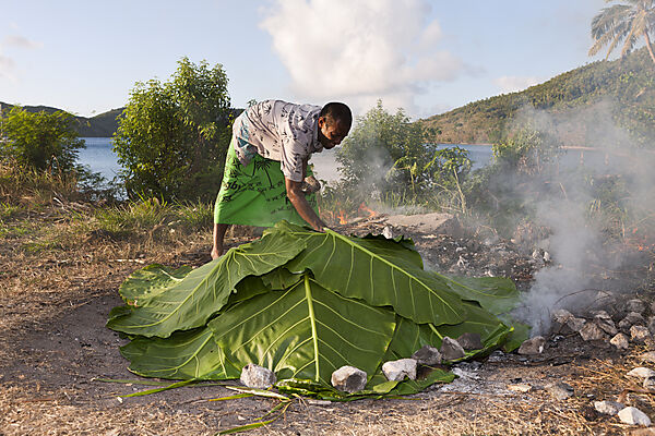 Natives cooking with Lovo Oven