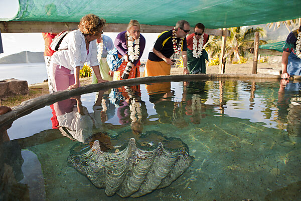 Giant Clam Farm