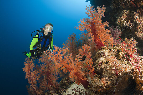 Scuba Diver and red Soft Corals