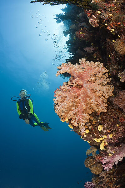 Scuba Diver and Coral Reef