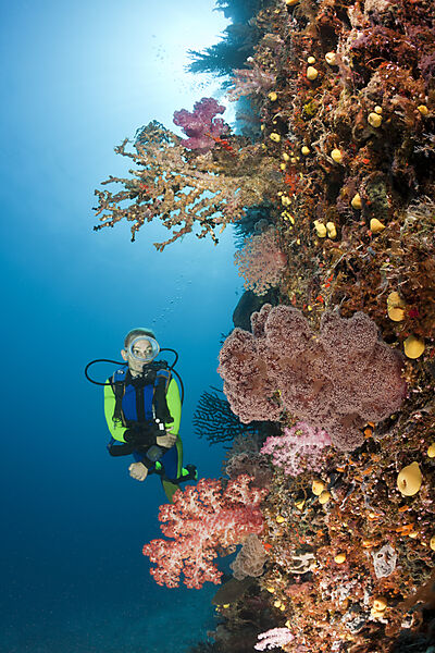 Scuba Diver and Coral Reef