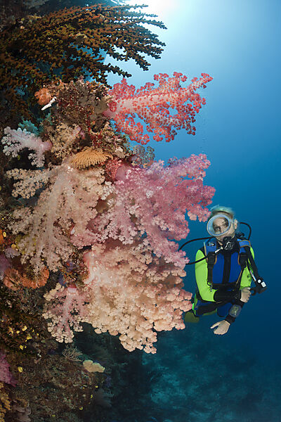 Scuba Diver and Coral Reef