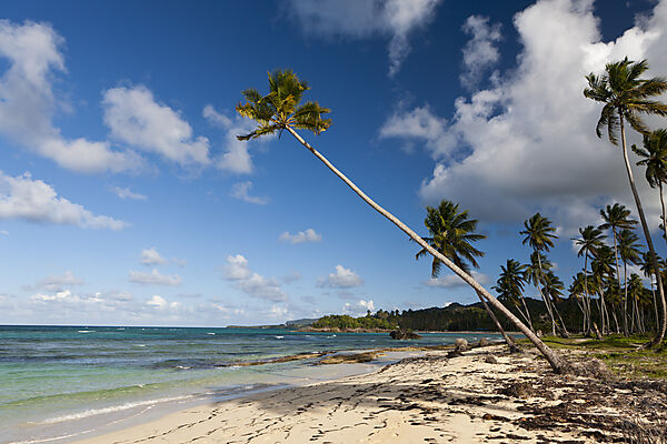 Playa Rincon Beach near Las Galeras