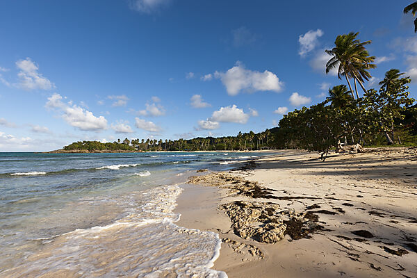 Playa Rincon Beach near Las Galeras