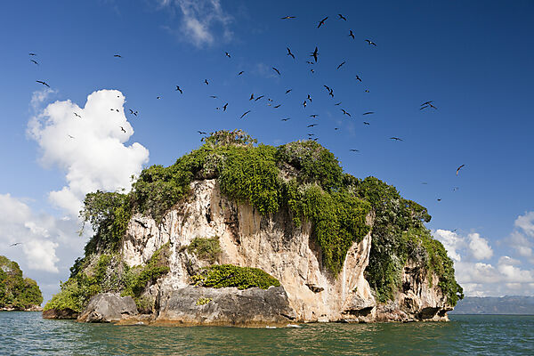 Bird Island La Cacata
