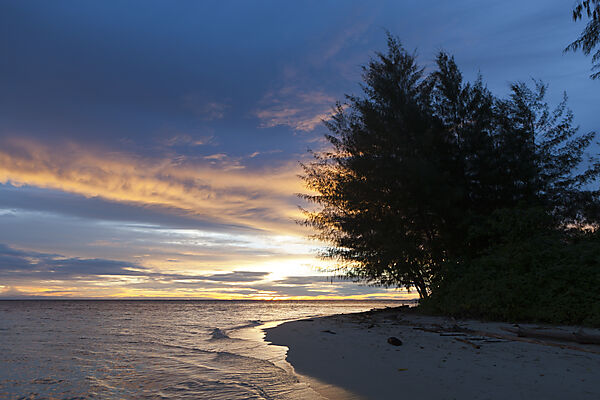 Sonnenaufgang in der Cenderawasih Bucht