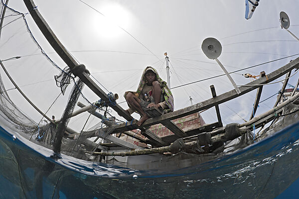 Fishermen feeding Whale Sharks from Fishing Platform called Bagan