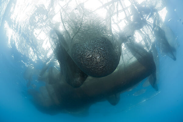 Fishing Net of Fishing Platform called Bagan