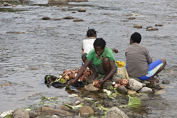 Natives cleaning Vegetables in Wamena River