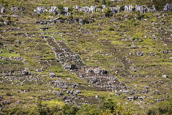Typischer Terrassen-Garten im Baliem Tal