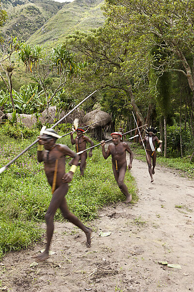 Warrior of Dani Tribe