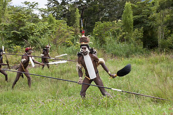 Warrior of Dani Tribe