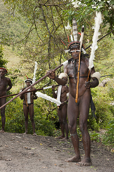 Warrior of Dani Tribe