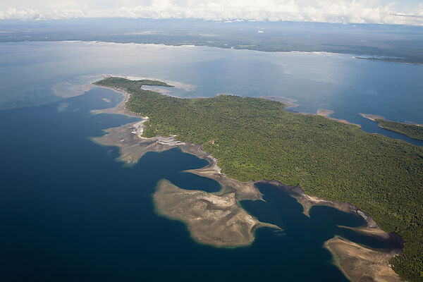 Coast of Cenderawasih Bay
