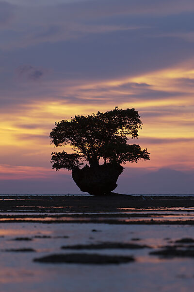 Sunset at Cenderawasih Bay
