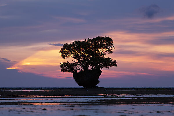 Sunset at Cenderawasih Bay