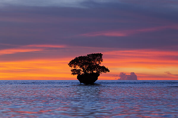 Sunset at Cenderawasih Bay