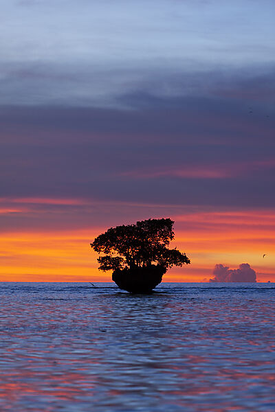 Sunset at Cenderawasih Bay