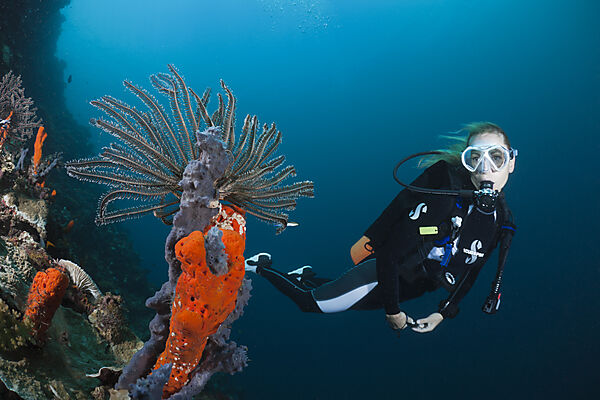 Scuba Diver over Coral Reef