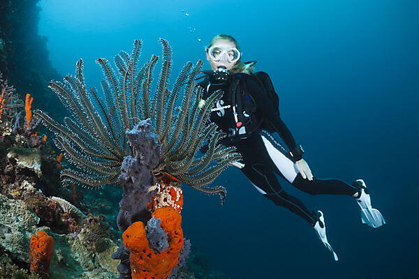 Scuba Diver over Coral Reef