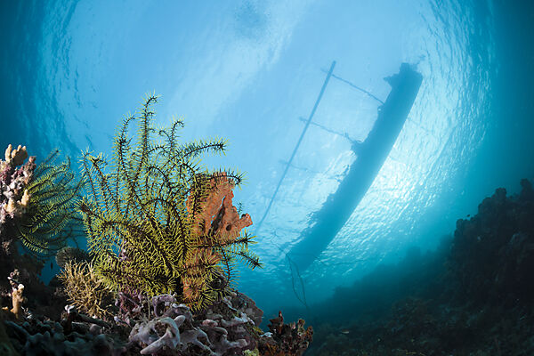 Outrigger Diving Boat over Coral Reef