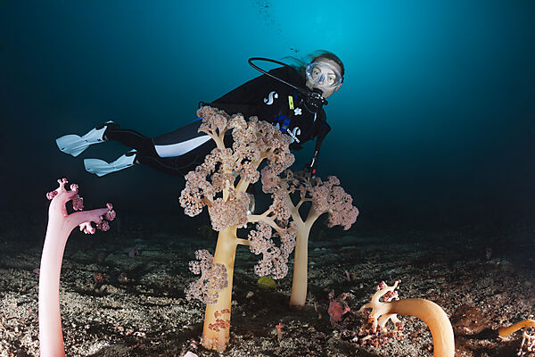 Soft Corals and Scuba Diver