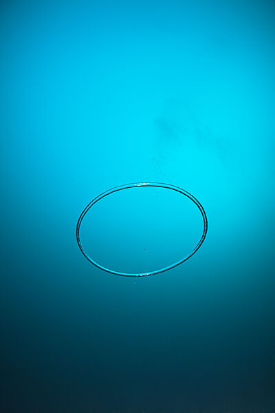 Blasenring schwebt zur Wasseroberflaeche