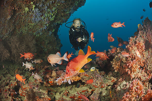Scuba Diver and Coral Fishes