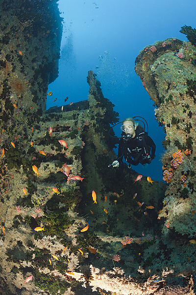 Scuba Diver over Cargo Space of Maldive Victory Wreck