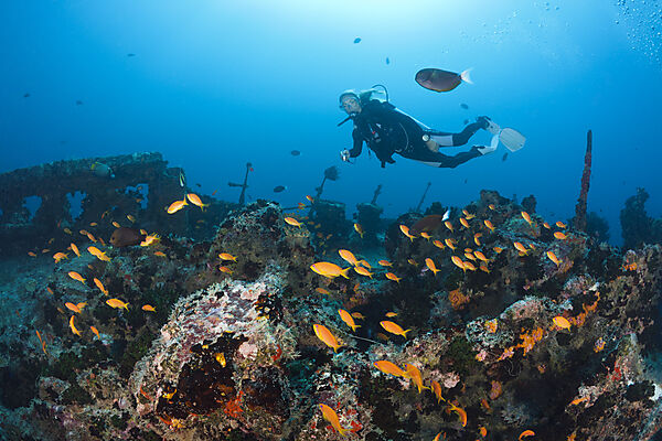 Scuba Diver at Stern of Maldive Victory Wreck