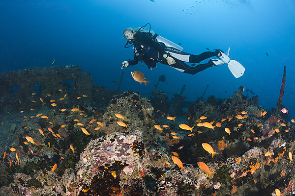 Scuba Diver at Stern of Maldive Victory Wreck