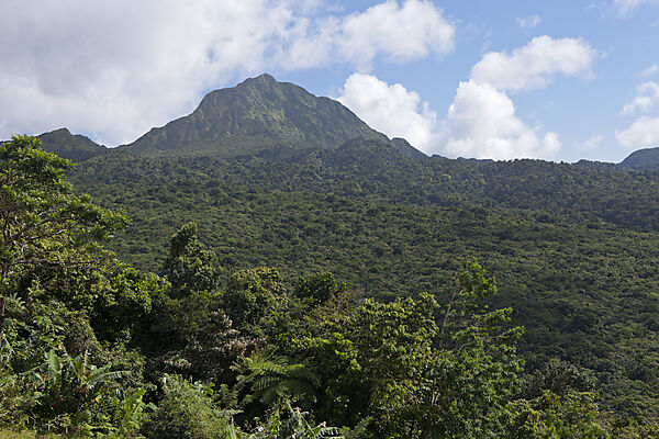 Landschaft Nationalpark Morne Trois Pitons