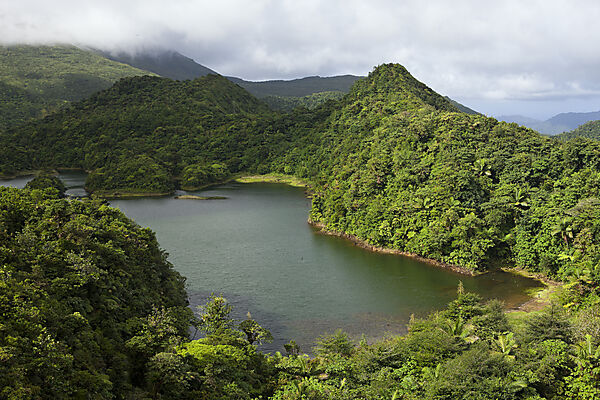 Freshwater Lake im Nationalpark Morne Trois Pitons