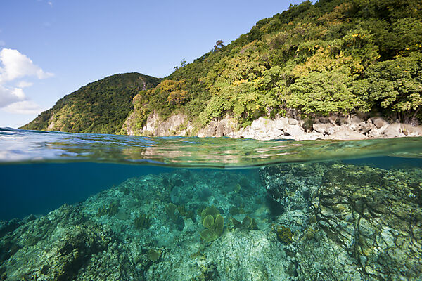 Kueste von Dominica