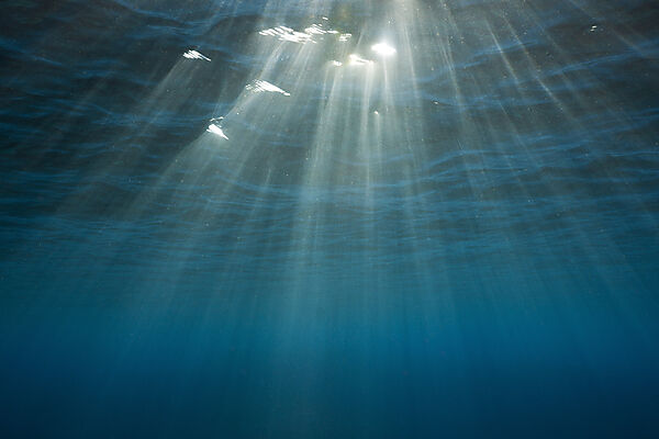 Sunbeams filtering through Water Surface