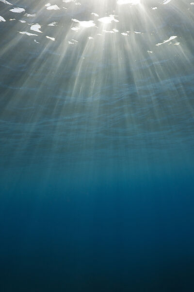 Sunbeams filtering through Water Surface