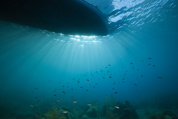 Sunbeams filtering through Water Surface