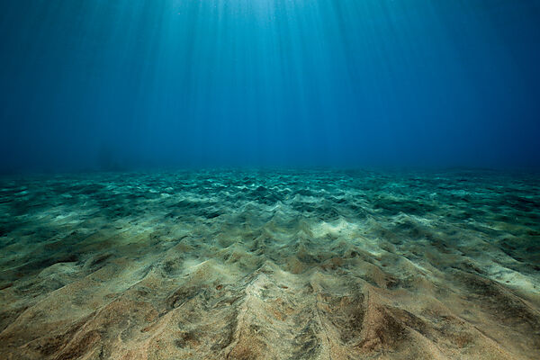 Sunbeams filtering through Water Surface