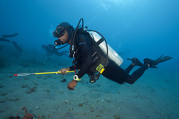 Invasive Lionfish speared by Diver