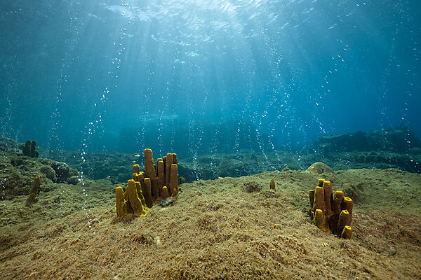 Volcanic Air Bubbles at Champagne Beach