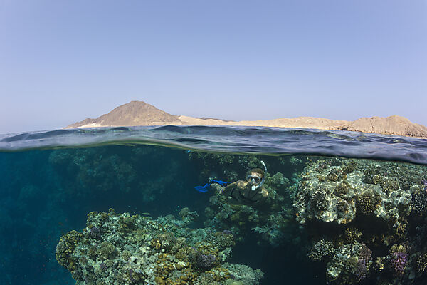 Schnorcheln im Roten Meer