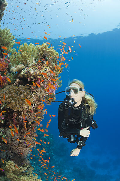 Scuba Diving in Red Sea