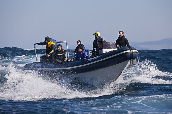 Tauchboot Sardine Run