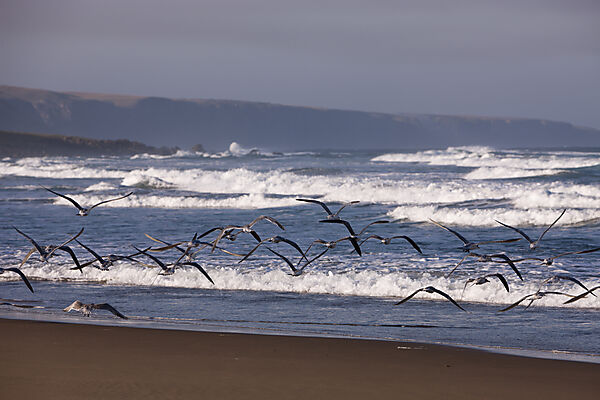 Impressionen der Wild Coast