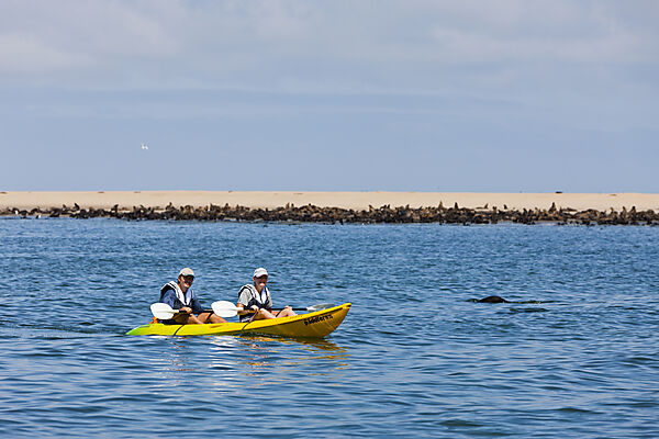 Touristen bei einer Delfin-Tour