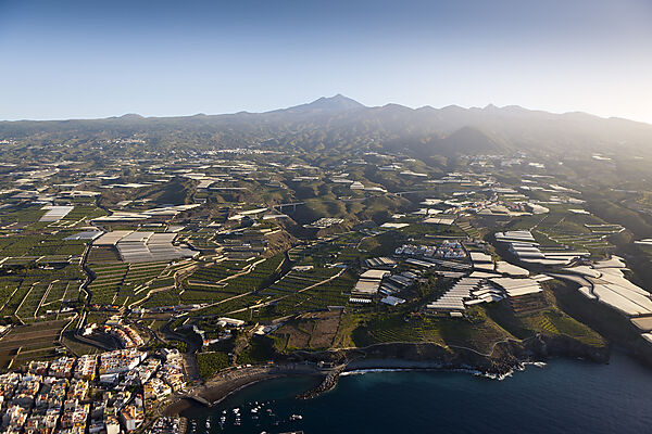 Plantations in South of Tenerife