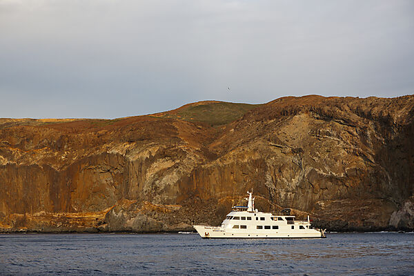 Liveaboard at Socorro